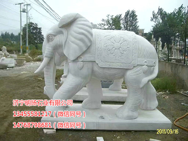 石雕大象 (13).jpg